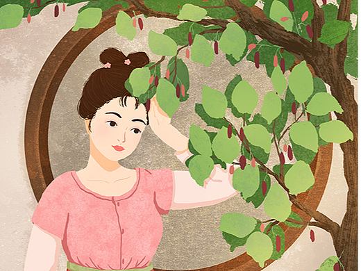 芒种 二十四节气