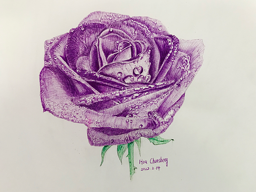 玫瑰-临摹欧阳鹏杰作品