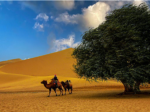 旅行||【北之北方】敦煌 敦煌（個人主頁-ZNjMwMTI1OTY=） - 風光攝影 - 站酷設計師若揚視覺原創(chuàng)素材 - 站酷ZCOOL