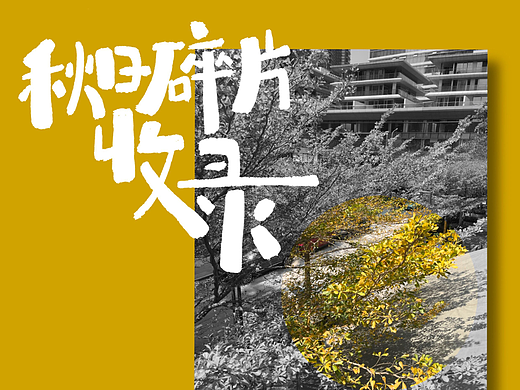 手写字 l 秋日碎片收录 人间烟火气 生活松弛感