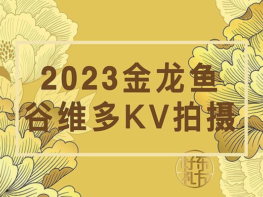 2023金龙鱼谷维多稻米油新包装KV拍摄