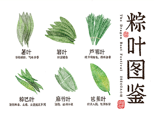 水彩 | 端午佳节 | 端午节海报 | 端午插画 |明信片