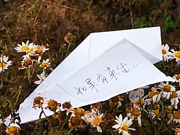 自導自演/如果有來生