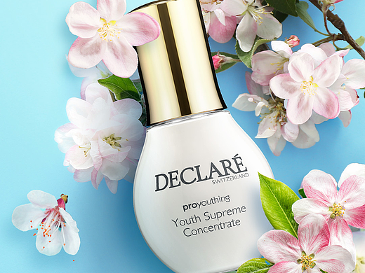DECLARE(公众号)