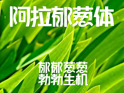 【一祁造字】阿拉郁葱体