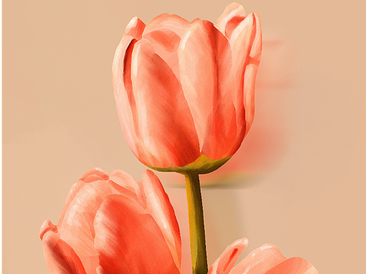 扁平肌理风插画