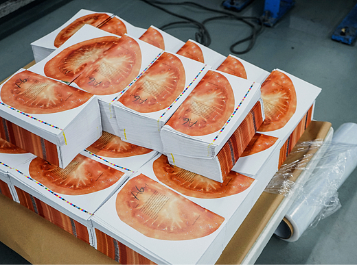 为了搞印刷，我们到雅昌当了一回学徒！