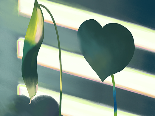 百图挑战01（个人主页-ZNjE5NDc2OTI=） - 创作习作 - 站酷设计师一只西瓜少女原创素材 - 站酷ZCOOL