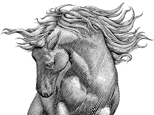 手绘版画风系列-【马】