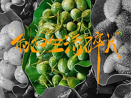 人間菜場煙火氣｜zoe