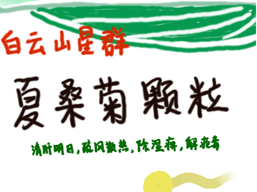 夏桑菊颗粒