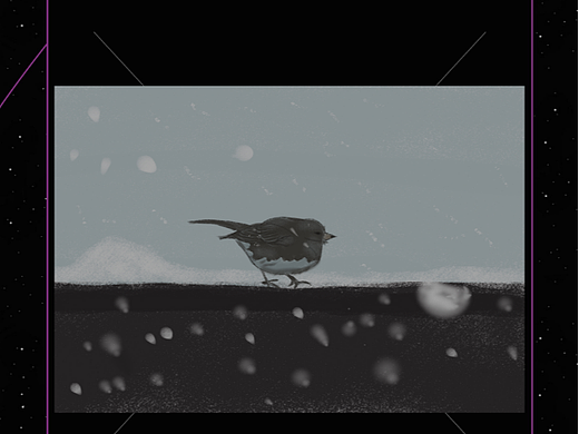 15【打卡DAY12】动物质感4