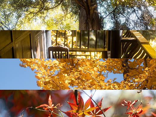 关于秋天的美好瞬间