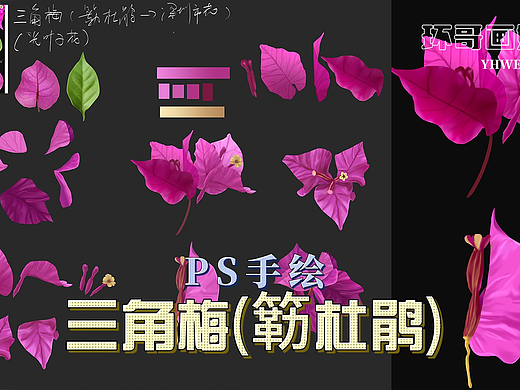 【唯美手绘】三角梅婚礼花艺，点亮你的爱情故事