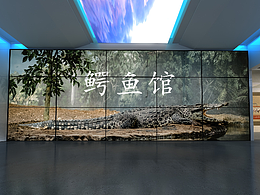 鱷魚館