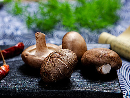  2024第十四届中国南京国际食用菌产业博览会