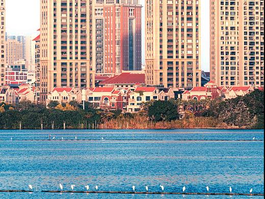 排排坐，吃果果（個人主頁-ZNjcxODMwMTY=） - 風(fēng)光攝影 - 站酷設(shè)計師哈拉文子原創(chuàng)素材 - 站酷ZCOOL