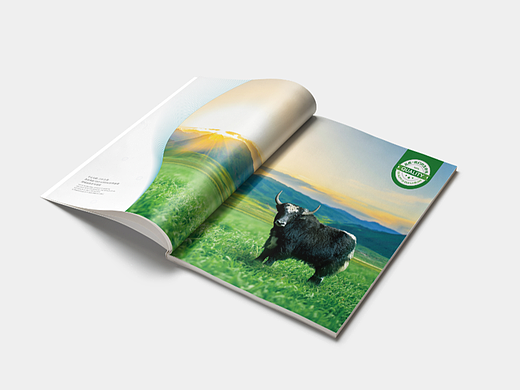 企业画册|企业宣传册|平面设计|画册设计|招商画册