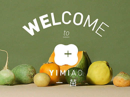 YIMIAO一苗 - 品牌VI设计