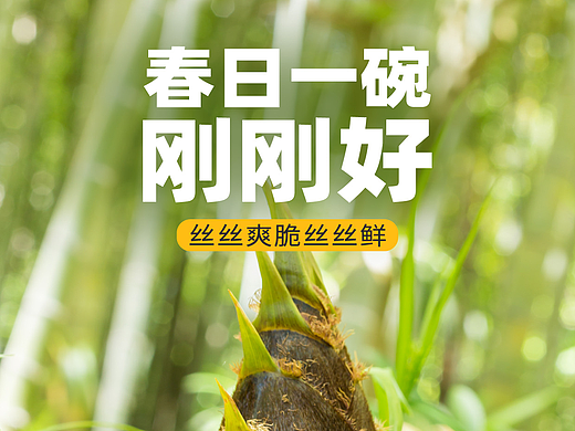 系列產(chǎn)品展示（個人主頁-ZNjg1MzA4NjA=） - 其他 - 站酷設(shè)計師提米糖豆原創(chuàng)素材 - 站酷ZCOOL