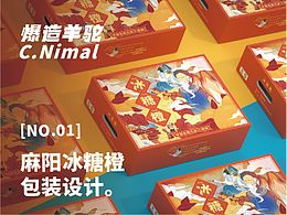 包装提案(参考)