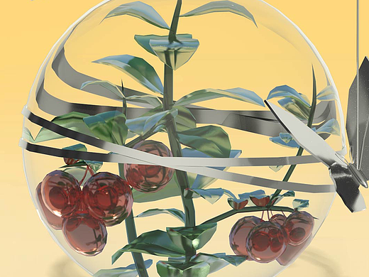 舞动的植物——越橘Maya动画练习