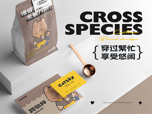 猫盒小栈｜品牌形象视觉