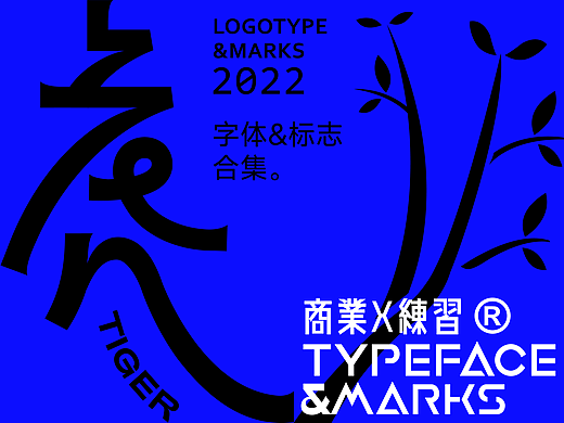 Typeface logo 2022©字体标志