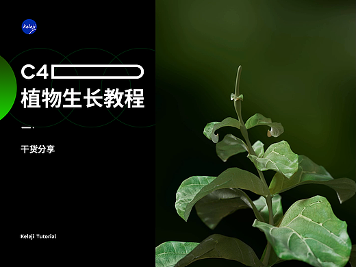 C4D植物生长动画教程（附工程文件）