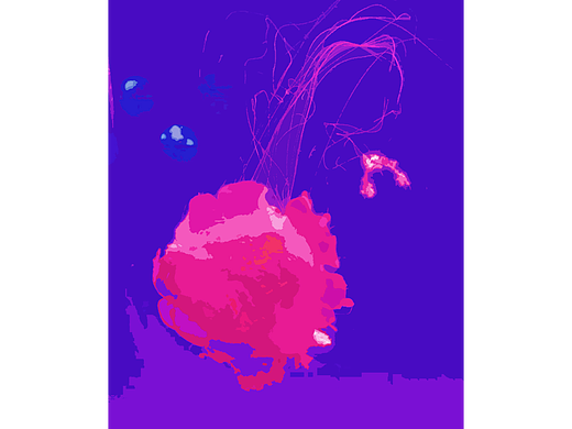 水母——有点像个流星锤