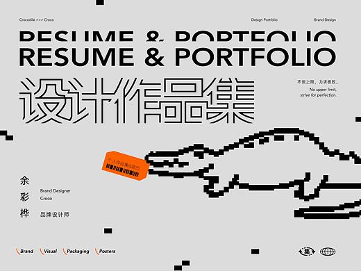 品牌设计/平面设计作品集