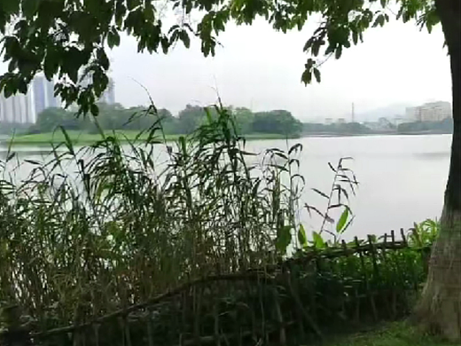 生命在于运动。