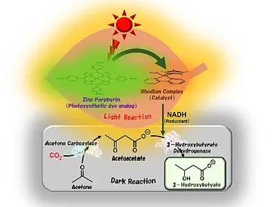 CMF设计|最新研究：利用阳光和CO₂合成可生物降解塑料