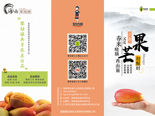 芒果三折页（个人主页-ZNjExNDM3Mjg=） - 宣传物料 - 站酷设计师波阁原创素材 - 站酷ZCOOL