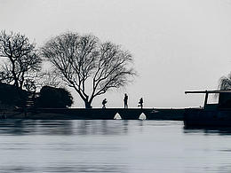 枯木会逢春相逢的人会再相见