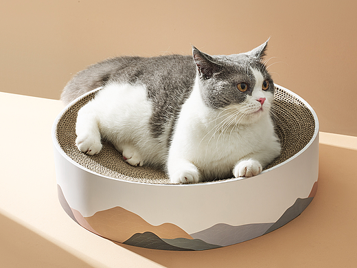 BUGO 山海猫抓板（个人主页-ZNTU2MTAxNjQ=） - 生活用品 - 站酷设计师我是树先生原创素材 - 站酷ZCOOL