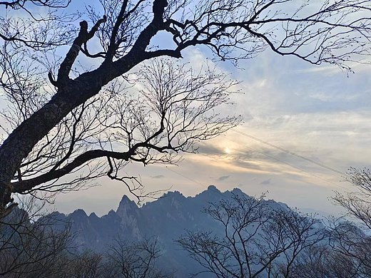 處處皆是我（個人主頁-ZNjY1ODg3NDA=） - 風(fēng)光攝影 - 站酷設(shè)計師avid01原創(chuàng)素材 - 站酷ZCOOL