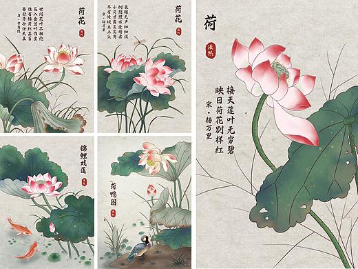 古风/工笔画/新中式/国风 荷花合集