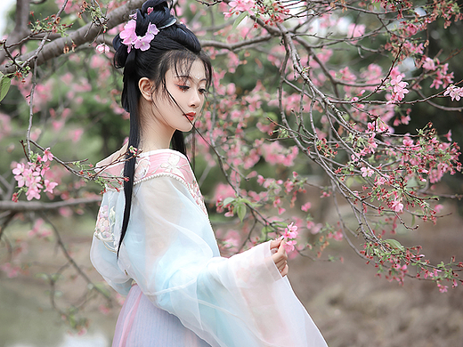 梦里花落的季节原来是春天呀