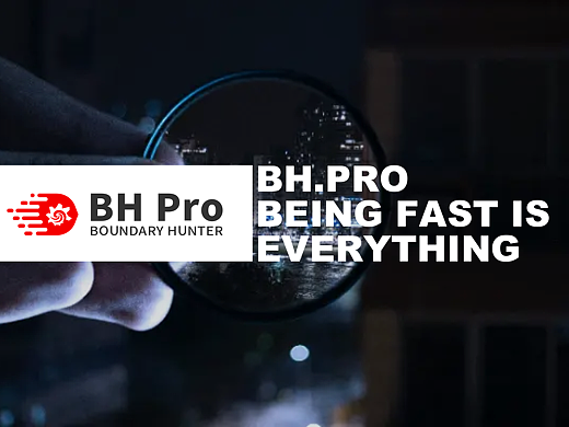 2022年BH Pro项目总结