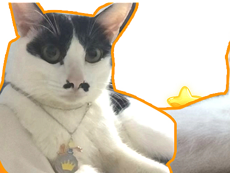 三只猫（个人主页-ZNjA0MjcxOTY=） - 其他平面 - 站酷设计师小璃子YY原创素材 - 站酷ZCOOL