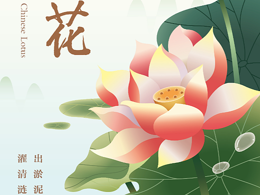 训练【第28天】莲花
