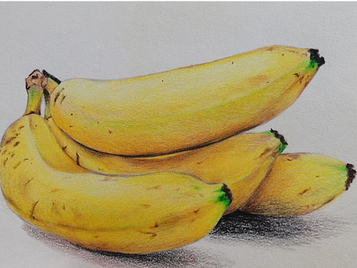 手绘打卡练习27