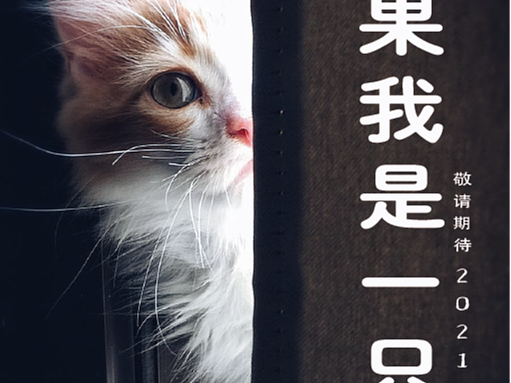 海报