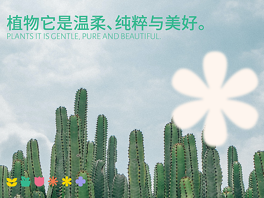 植物品牌｜ 盆内植物 植物它是温柔、纯粹与美好。
