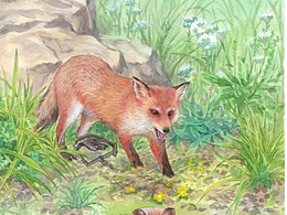 沈石溪作品插图(已出版)