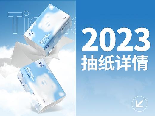 2023抽纸 纸巾详情