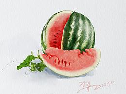 仿水彩/板绘 /西瓜
