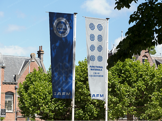 IAFM丨大学研究院Logo设计