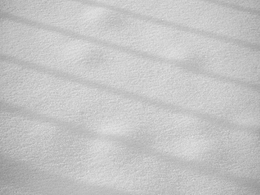 等雪来